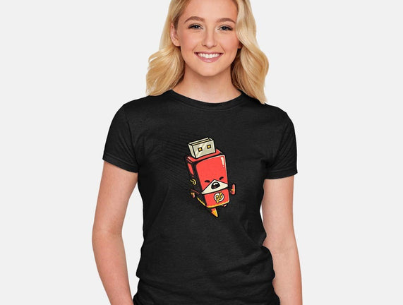 Flash Drive