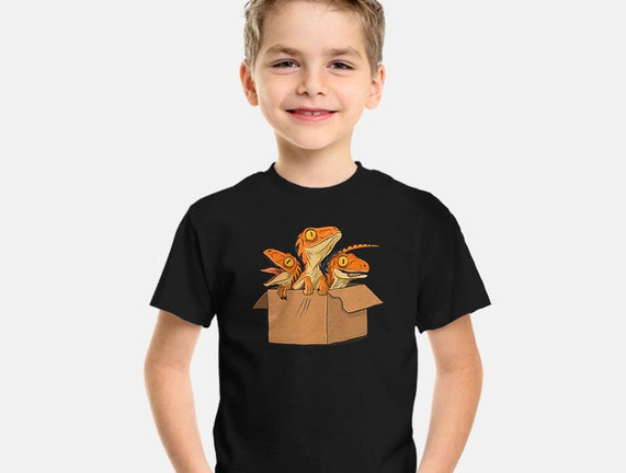 Adopt a Raptor