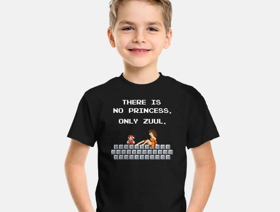 There Is No Princess