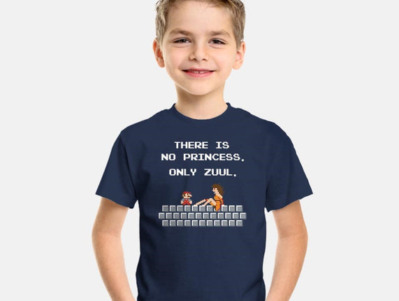 There Is No Princess