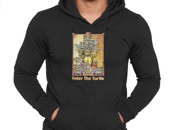 Enter the Turtle