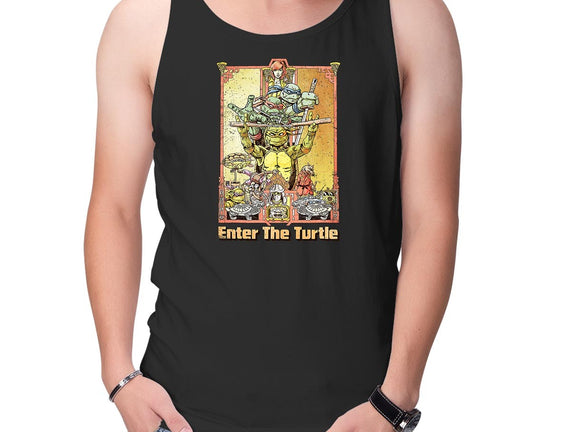 Enter the Turtle