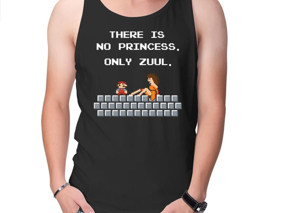 There Is No Princess