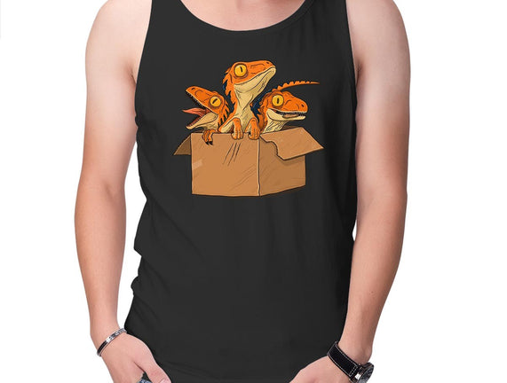 Adopt a Raptor