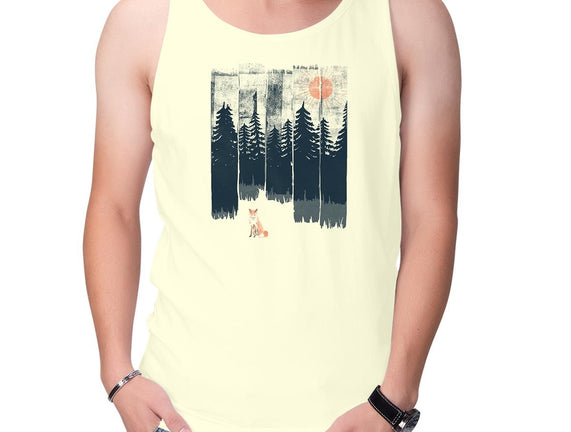 Fox In the Wild