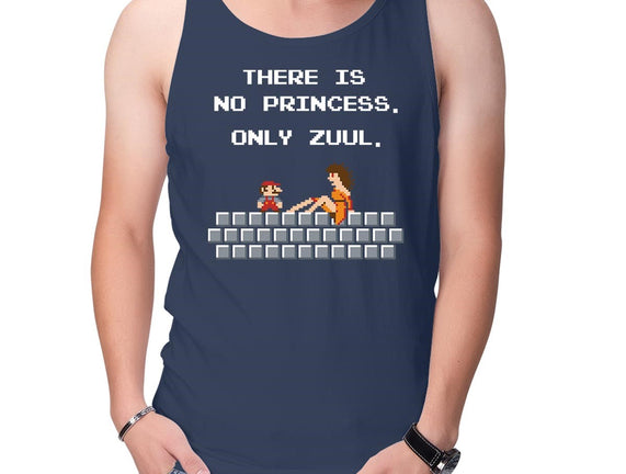 There Is No Princess