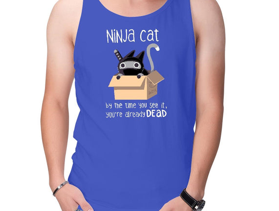 Ninja Cat