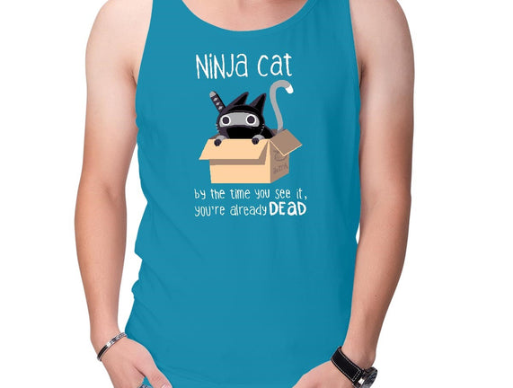 Ninja Cat