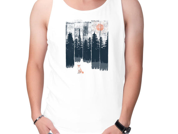 Fox In the Wild