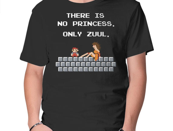 There Is No Princess