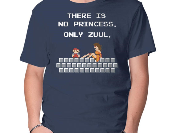 There Is No Princess