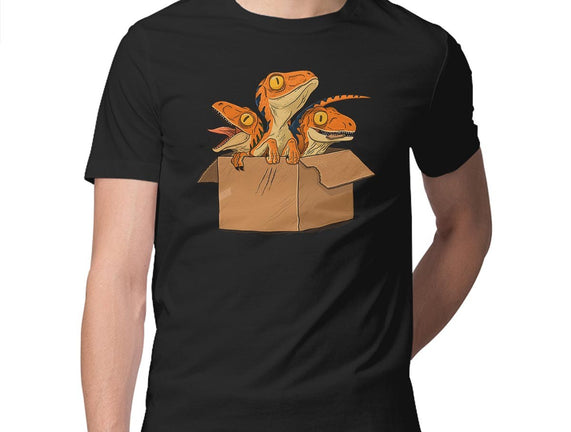 Adopt a Raptor