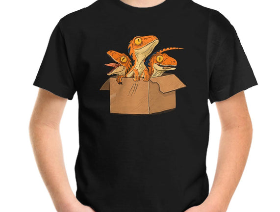 Adopt a Raptor