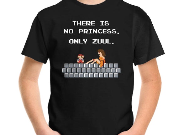 There Is No Princess