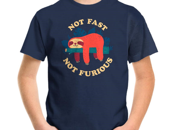Not Fast, Not Furious