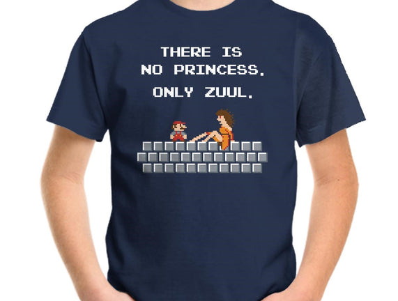 There Is No Princess