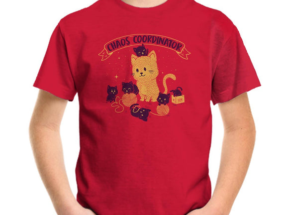 Chaos Coordinator