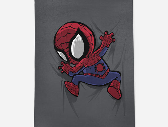 My Portable Spidey