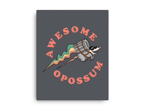 Awesome Opossum