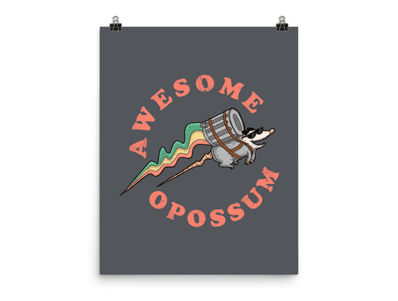 Awesome Opossum