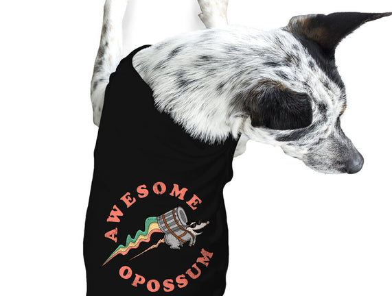 Awesome Opossum