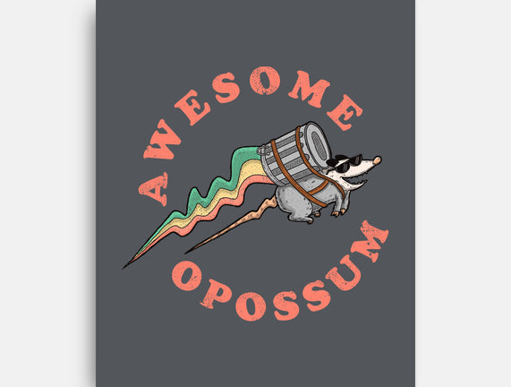 Awesome Opossum