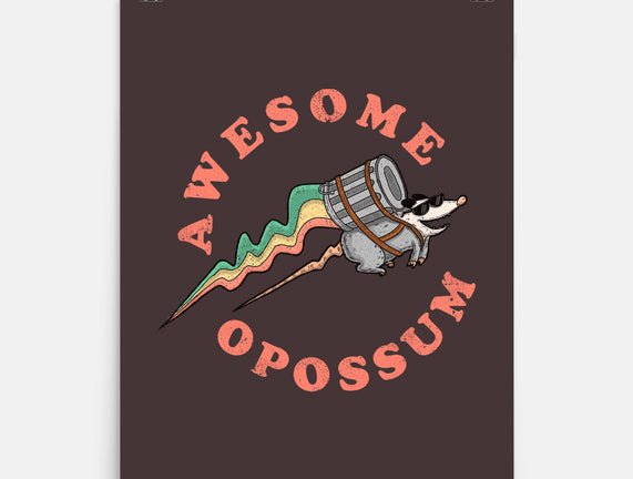 Awesome Opossum