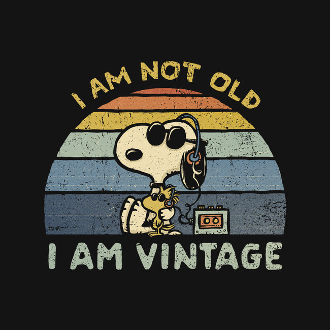 I Am Vintage-None-Fleece-Blanket-kg07