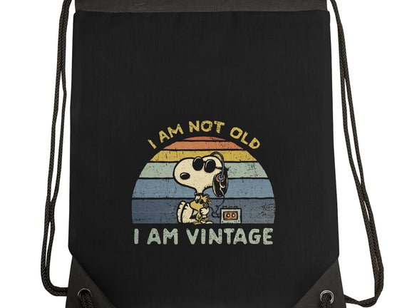 I Am Vintage