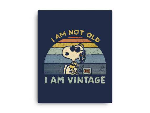 I Am Vintage