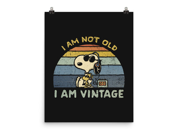 I Am Vintage