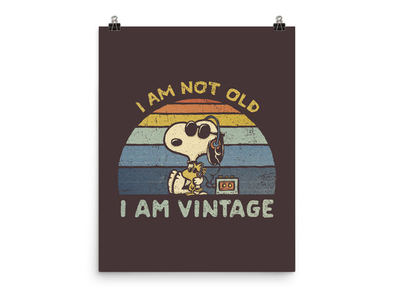 I Am Vintage