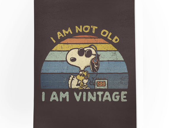 I Am Vintage