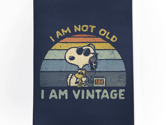 I Am Vintage