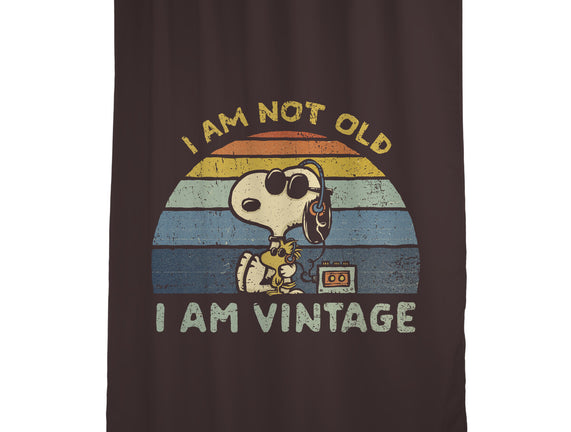 I Am Vintage