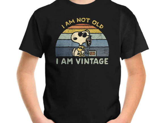 I Am Vintage