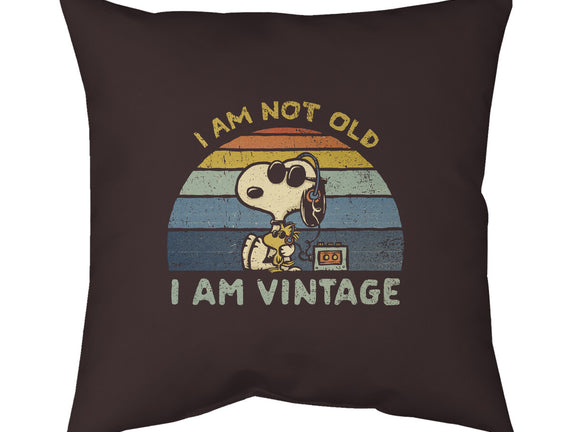 I Am Vintage