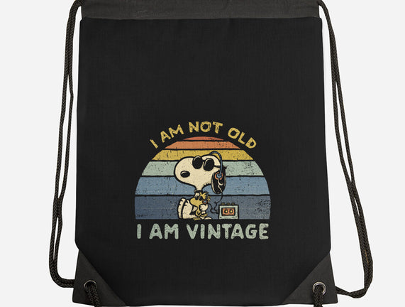 I Am Vintage