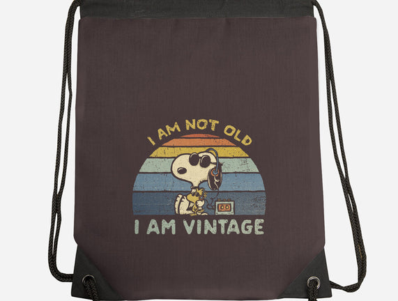 I Am Vintage