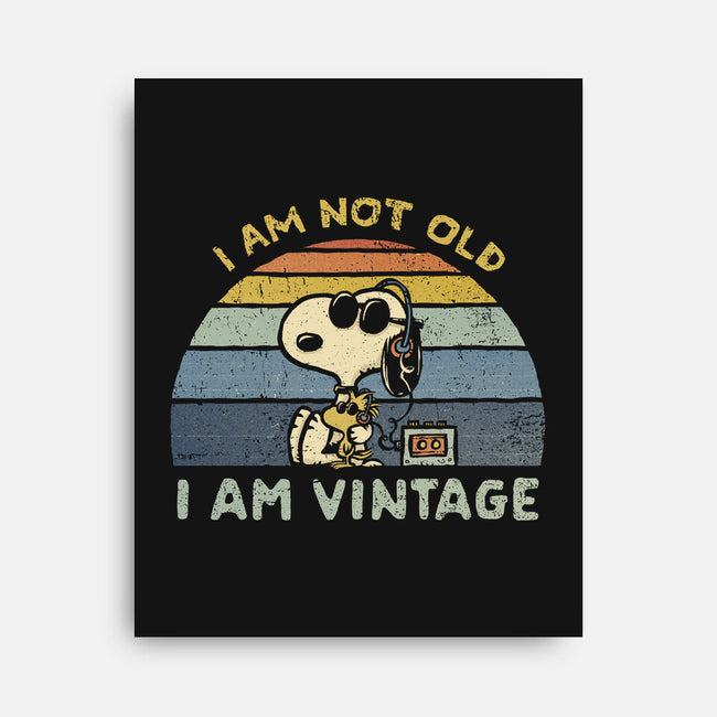 I Am Vintage-None-Stretched-Canvas-kg07