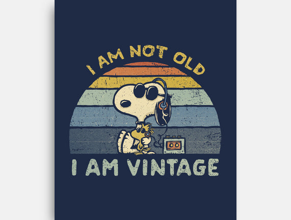 I Am Vintage