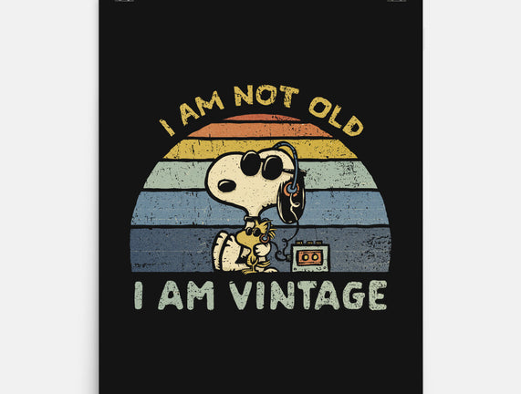 I Am Vintage