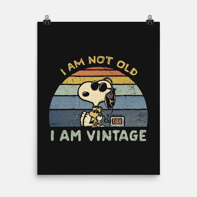 I Am Vintage-None-Matte-Poster-kg07