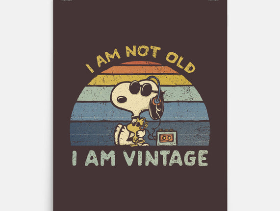 I Am Vintage