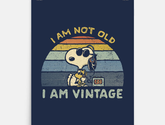 I Am Vintage