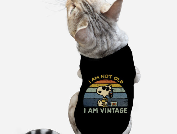 I Am Vintage