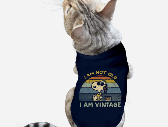 I Am Vintage