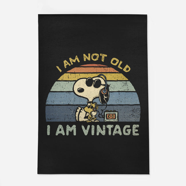 I Am Vintage-None-Indoor-Rug-kg07