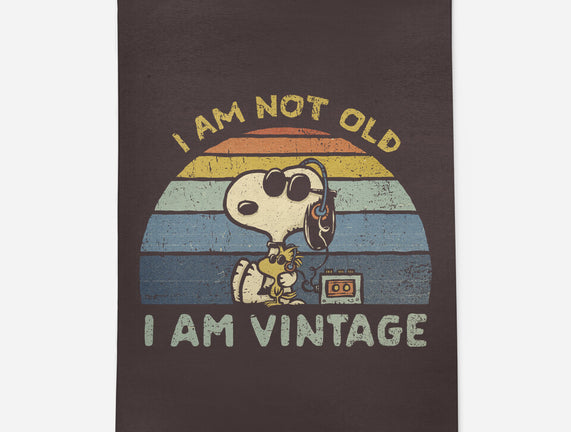 I Am Vintage