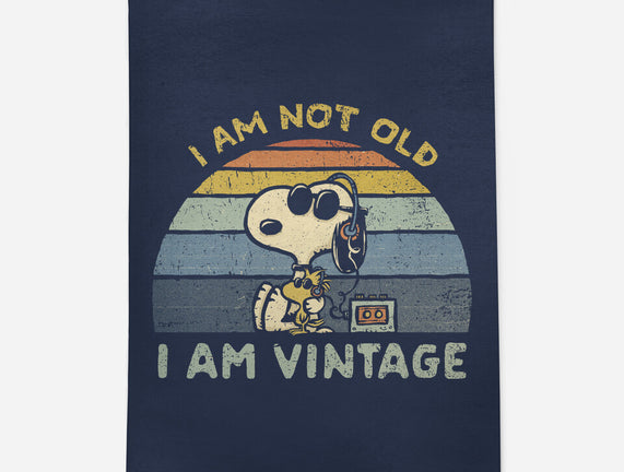 I Am Vintage